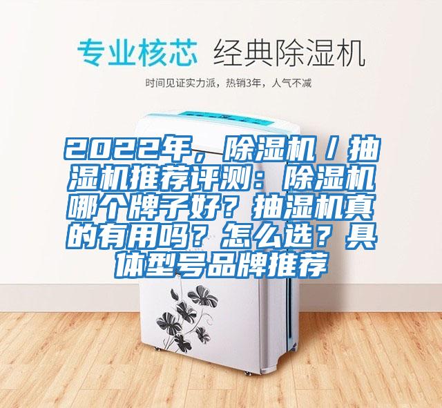 2022年，除濕機(jī)／抽濕機(jī)推薦評測：除濕機(jī)哪個(gè)牌子好？抽濕機(jī)真的有用嗎？怎么選？具體型號品牌推薦