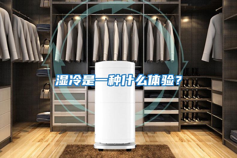 濕冷是一種什么體驗?