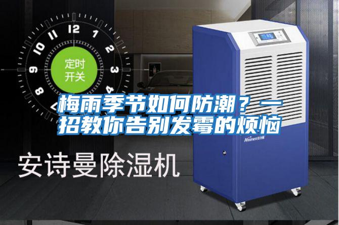 梅雨季節如何防潮?一招教你告別發霉的煩惱