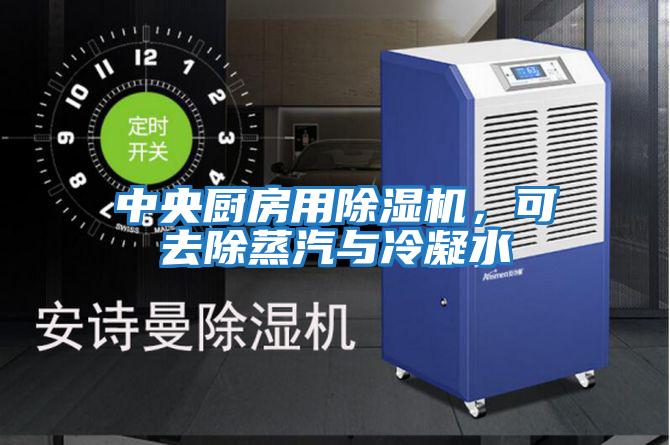 中央廚房用除濕機，可去除蒸汽與冷凝水
