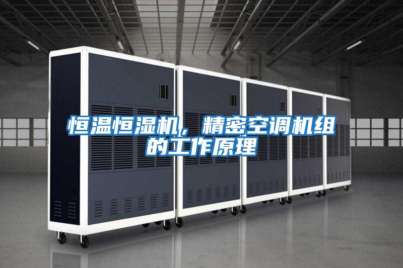 恒溫恒濕機，精密空調機組的工作原理