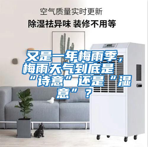 又是一年梅雨季，梅雨天氣到底是“詩意”還是“濕意”？