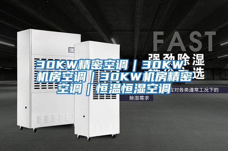 30KW精密空調｜30KW 機房空調｜30KW機房精密空調｜恒溫恒濕空調