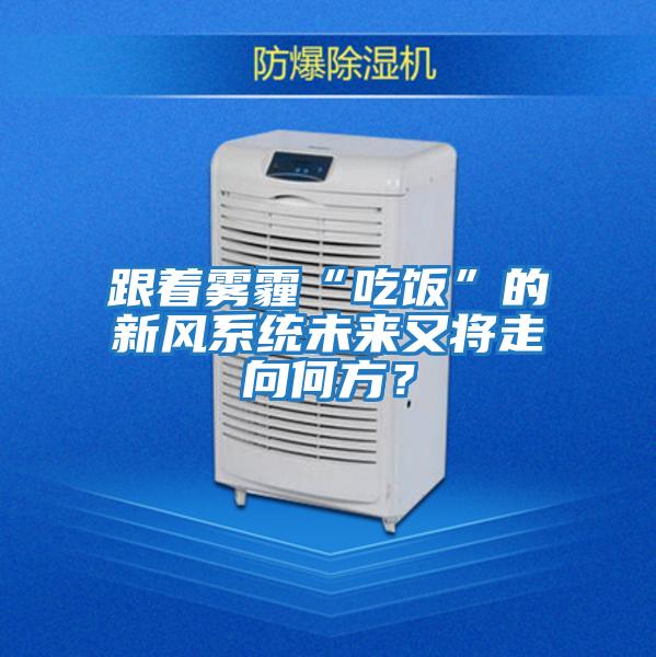 跟著霧霾“吃飯”的新風(fēng)系統(tǒng)未來又將走向何方？