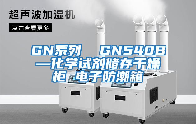 GN系列 GN540B—化學(xué)試劑儲存干燥柜 電子防潮箱