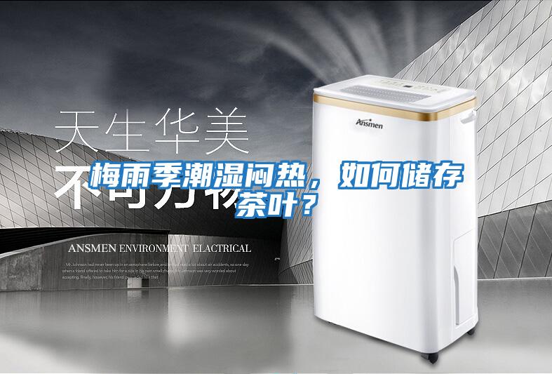 梅雨季潮濕悶熱,如何儲(chǔ)存茶葉?