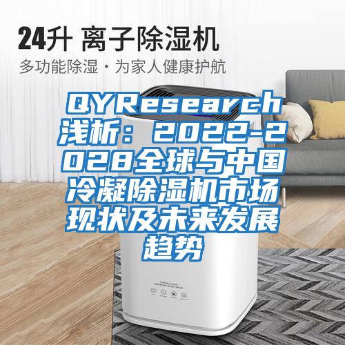 QYResearch淺析:2022-2028全球與中國冷凝除濕機市場現狀及未來發展趨勢