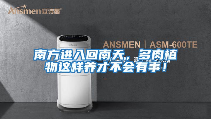 南方進入回南天，多肉植物這樣養(yǎng)才不會有事！