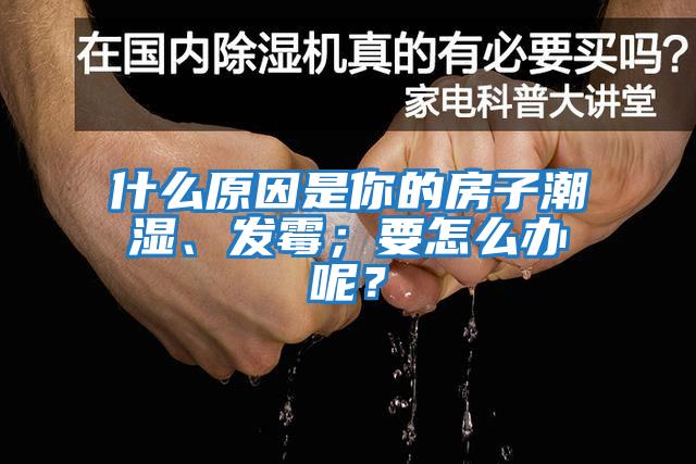 什么原因是你的房子潮濕、發(fā)霉;要怎么辦呢?