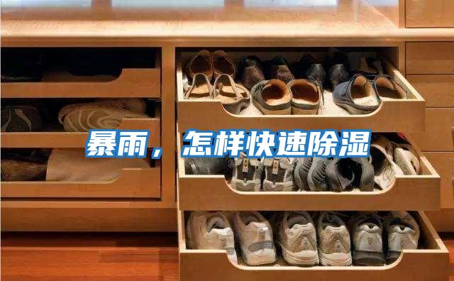 暴雨，怎樣快速除濕
