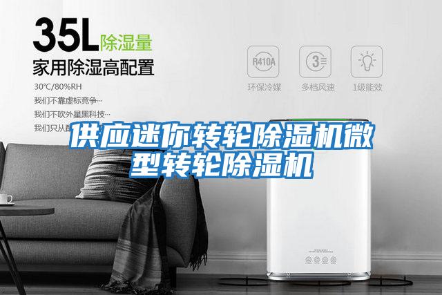 供應迷你轉輪除濕機微型轉輪除濕機