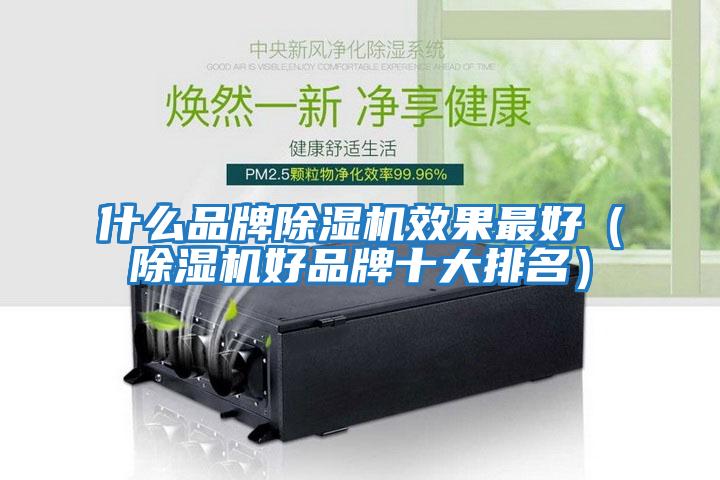 什么品牌除濕機(jī)效果最好(除濕機(jī)好品牌十大排名)