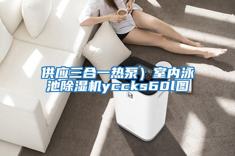 供應(yīng)三合一熱泵)室內(nèi)泳池除濕機(jī)yccks60l圖