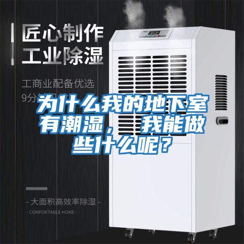 為什么我的地下室有潮濕， 我能做些什么呢？