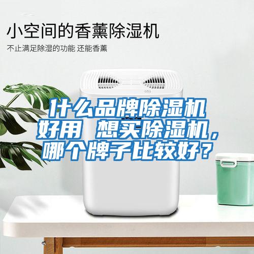什么品牌除濕機(jī)好用 想買除濕機(jī)，哪個牌子比較好？