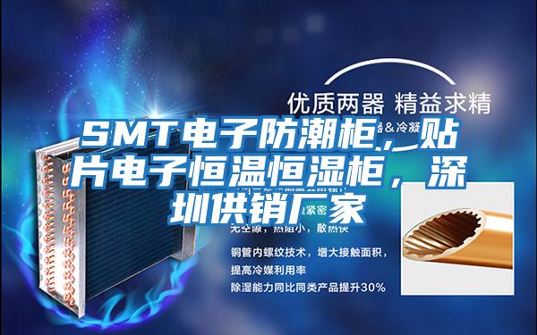 SMT電子防潮柜,貼片電子恒溫恒濕柜,深圳供銷廠家