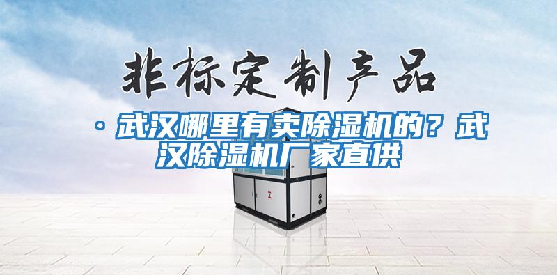 ·武漢哪里有賣除濕機(jī)的?武漢除濕機(jī)廠家直供