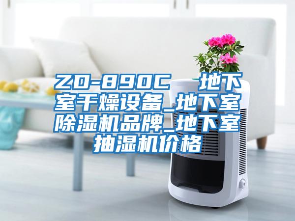 ZD-890C 地下室干燥設備_地下室除濕機品牌_地下室抽濕機價格