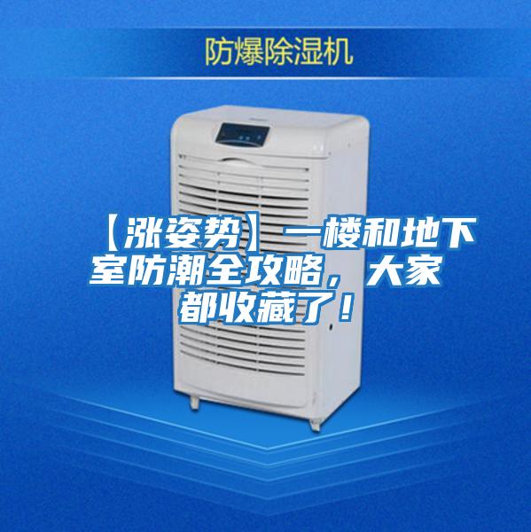 【漲姿勢】一樓和地下室防潮全攻略，大家都收藏了！