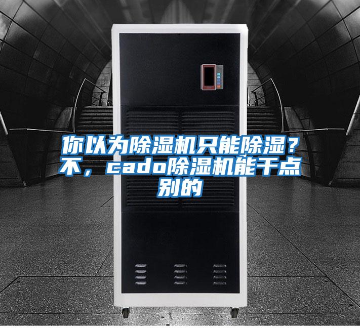 你以為除濕機(jī)只能除濕？不，cado除濕機(jī)能干點(diǎn)別的