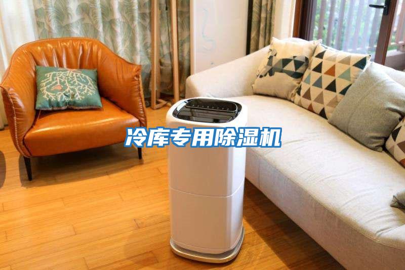 冷庫(kù)專(zhuān)用除濕機(jī)