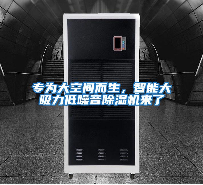 專為大空間而生，智能大吸力低噪音除濕機來了
