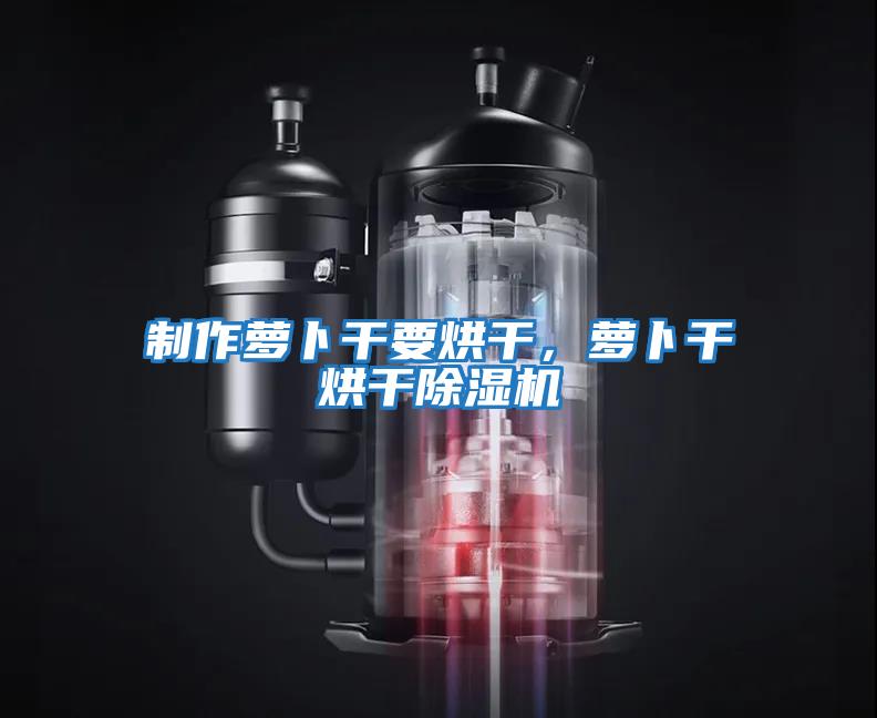 制作蘿卜干要烘干,蘿卜干烘干除濕機(jī)