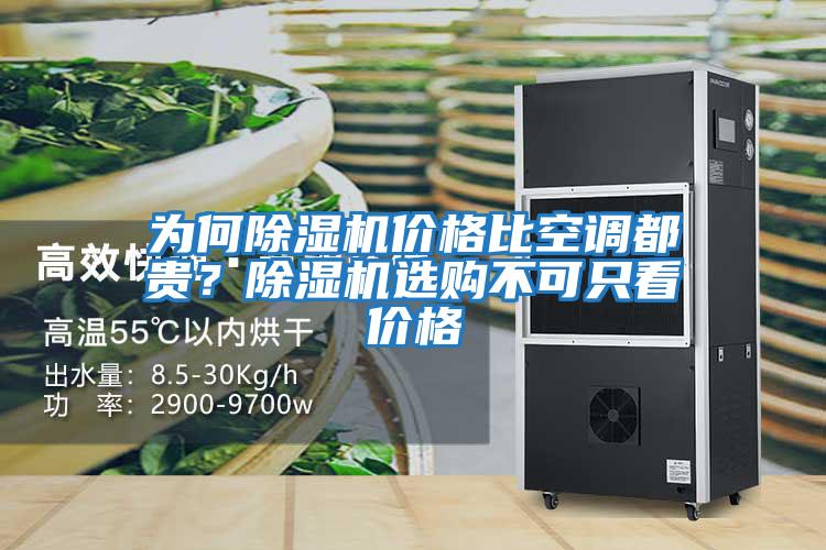 為何除濕機(jī)價(jià)格比空調(diào)都貴?除濕機(jī)選購(gòu)不可只看價(jià)格