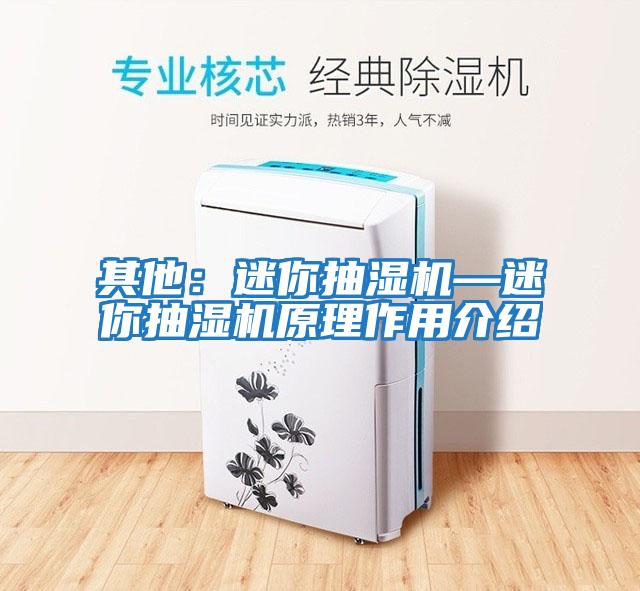 其他:迷你抽濕機—迷你抽濕機原理作用介紹