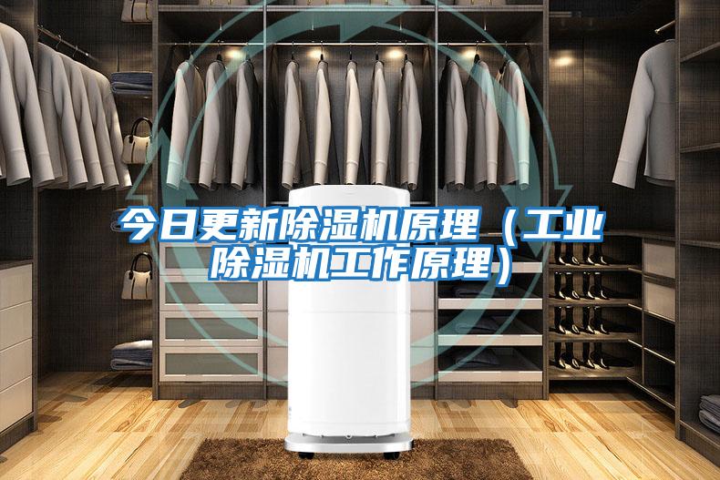 今日更新除濕機原理(工業除濕機工作原理)