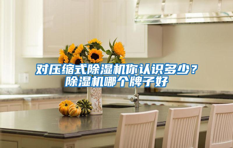 對壓縮式除濕機(jī)你認(rèn)識多少？除濕機(jī)哪個(gè)牌子好