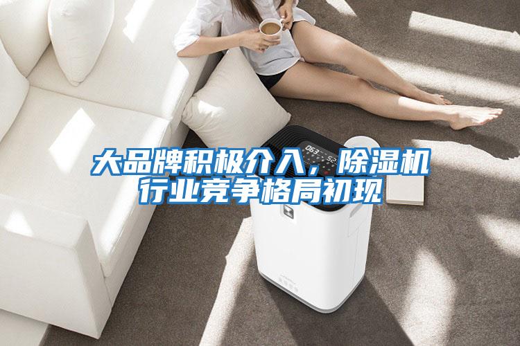 大品牌積極介入，除濕機行業(yè)競爭格局初現