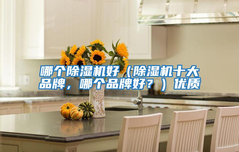 哪個除濕機(jī)好（除濕機(jī)十大品牌，哪個品牌好？）優(yōu)質(zhì)