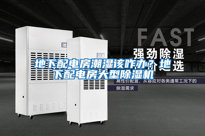地下配電房潮濕該咋辦?地下配電房大型除濕機(jī)
