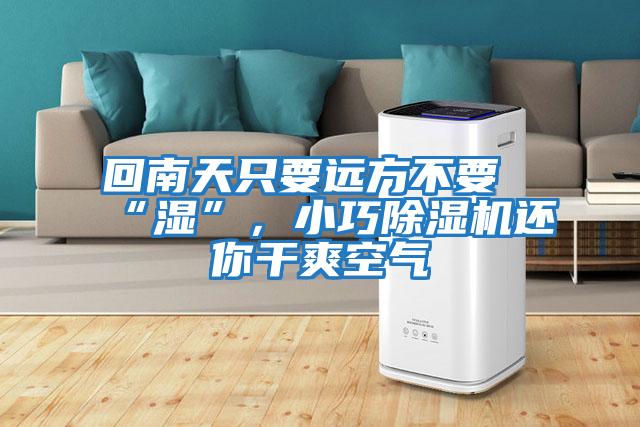 回南天只要遠方不要“濕”，小巧除濕機還你干爽空氣