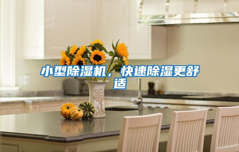 小型除濕機，快速除濕更舒適