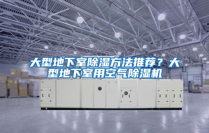 大型地下室除濕方法推薦?大型地下室用空氣除濕機(jī)