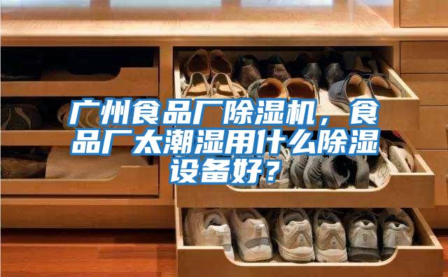 廣州食品廠除濕機，食品廠太潮濕用什么除濕設備好？