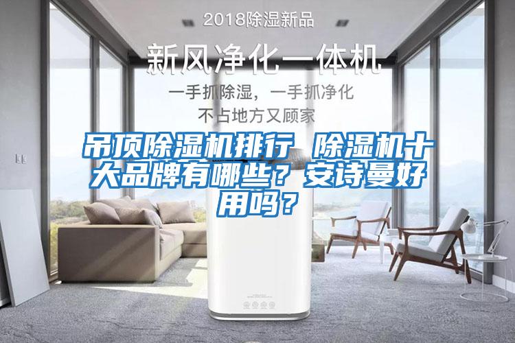 吊頂除濕機排行 除濕機十大品牌有哪些？安詩曼好用嗎？