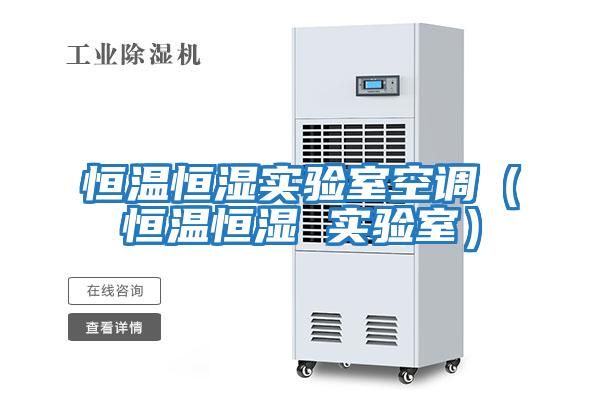 恒溫恒濕實(shí)驗(yàn)室空調(diào)(恒溫恒濕 實(shí)驗(yàn)室)