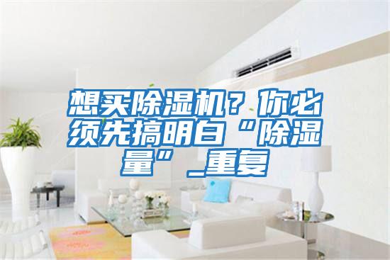 想買除濕機？你必須先搞明白“除濕量”_重復