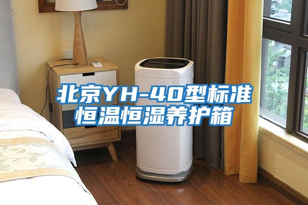北京YH-40型標準恒溫恒濕養(yǎng)護箱