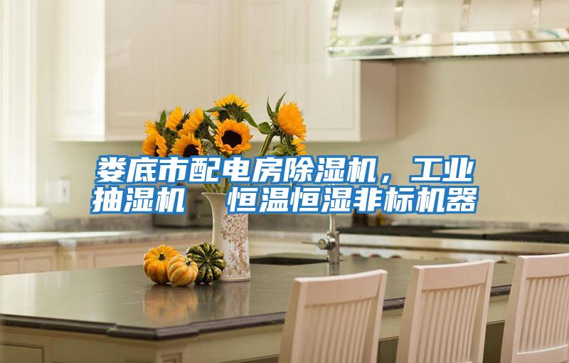 婁底市配電房除濕機，工業抽濕機  恒溫恒濕非標機器