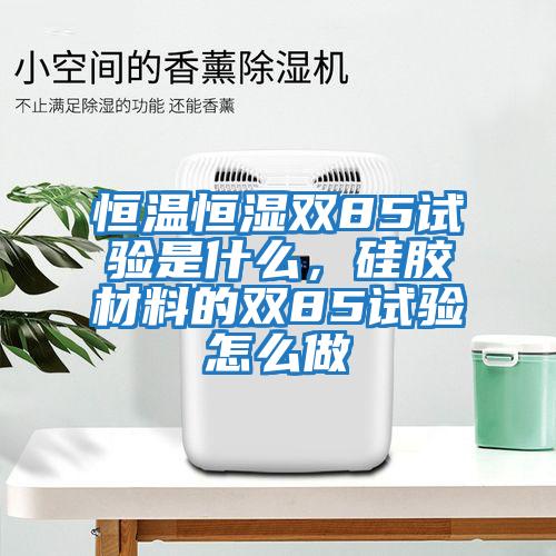 恒溫恒濕雙85試驗是什么,硅膠材料的雙85試驗怎么做