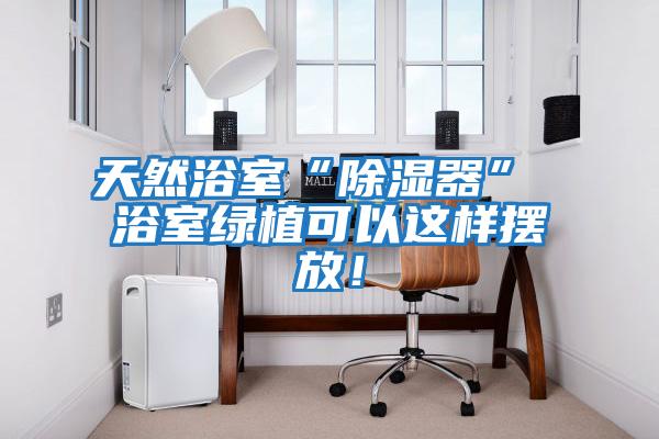 天然浴室“除濕器” 浴室綠植可以這樣擺放！