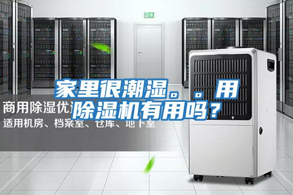 家里很潮濕。。用除濕機(jī)有用嗎?