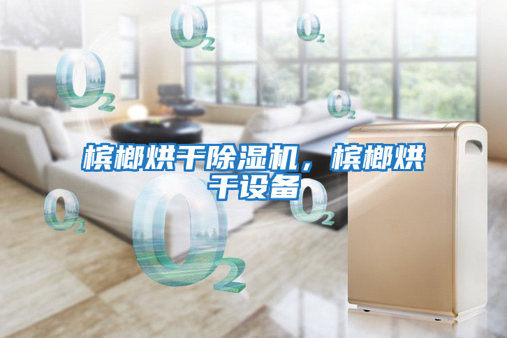 檳榔烘干除濕機(jī),檳榔烘干設(shè)備