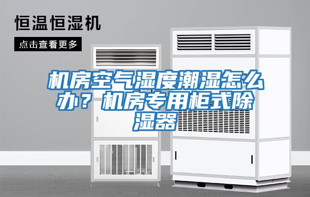 機房空氣濕度潮濕怎么辦?機房專用柜式除濕器