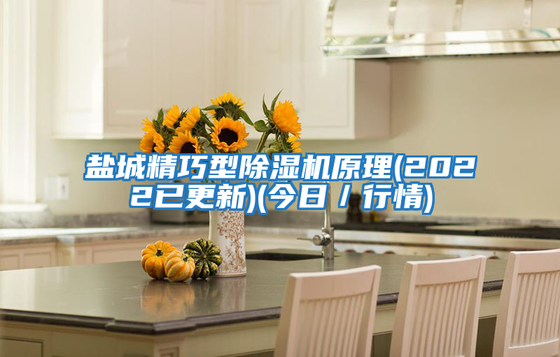 鹽城精巧型除濕機原理(2022已更新)(今日/行情)
