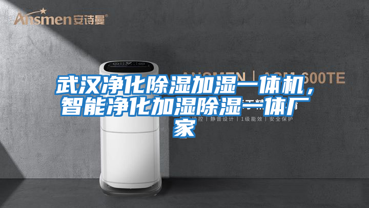 武漢凈化除濕加濕一體機(jī)，智能凈化加濕除濕一體廠家